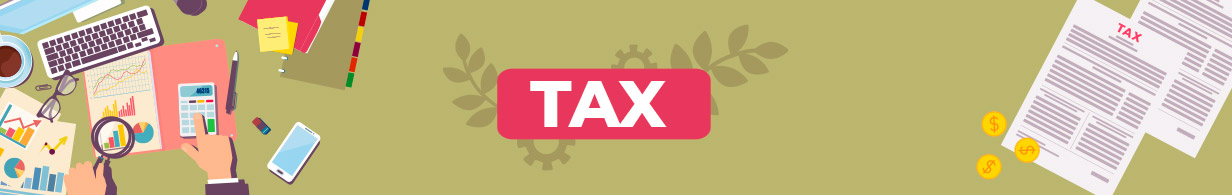 Taxes guide india